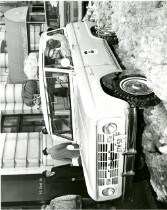 Bronco